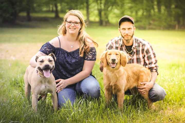 Dog engagement pictures - 2