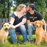 Dog engagement pictures - 1