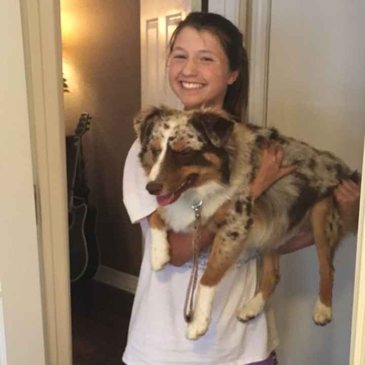 Just ordered my dogs first birthday cake! NWR