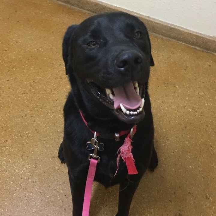 Post a pic of something that makes you happy!