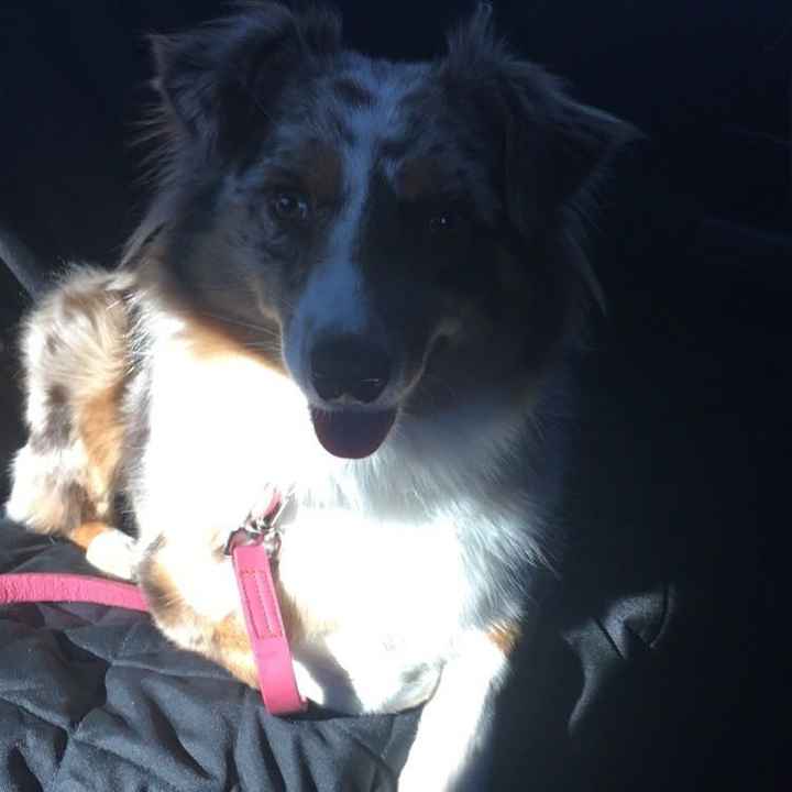 NWR: Show me your pups!