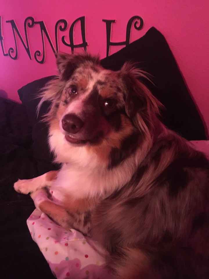 Show me your fur babies!