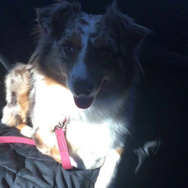 NWR: Show me your pups!
