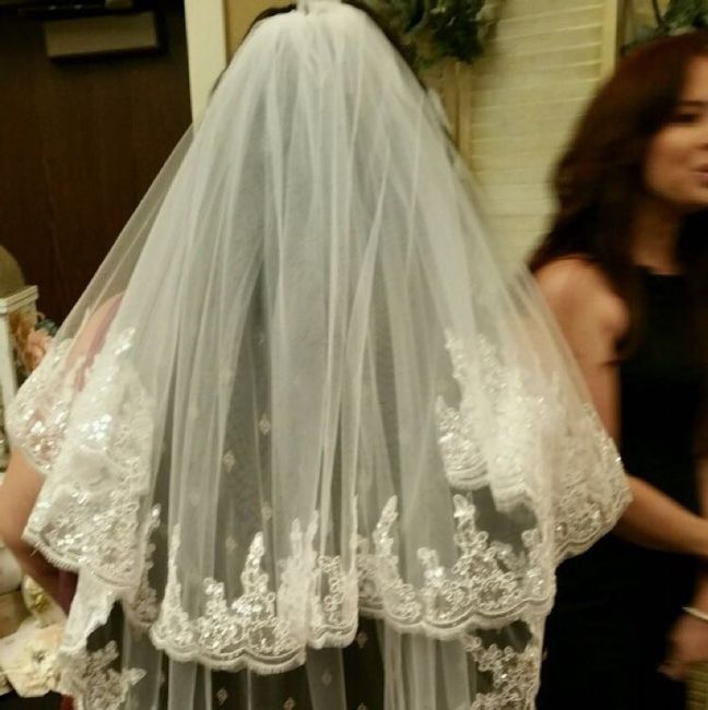 Wedding veil!