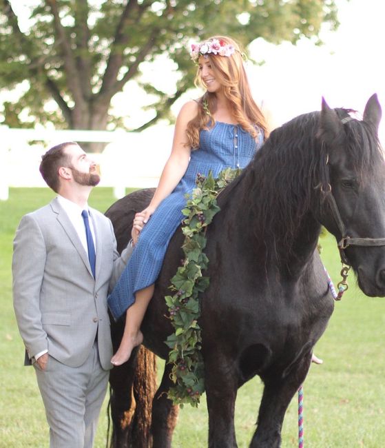 Horse pic 2
