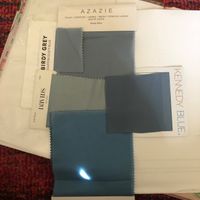 Different Dusty Blues? - 1