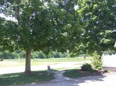 We changed our venue!!! (pics)