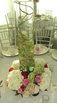 Want to see flowers!!!