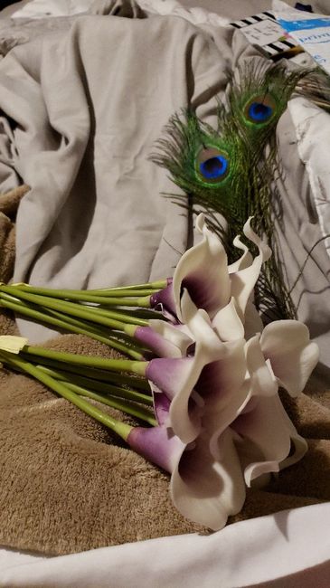 Real vs Artificial Flowers 1