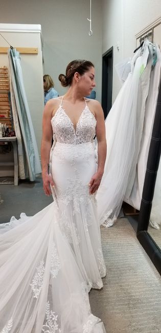 The dress dilemma - 2