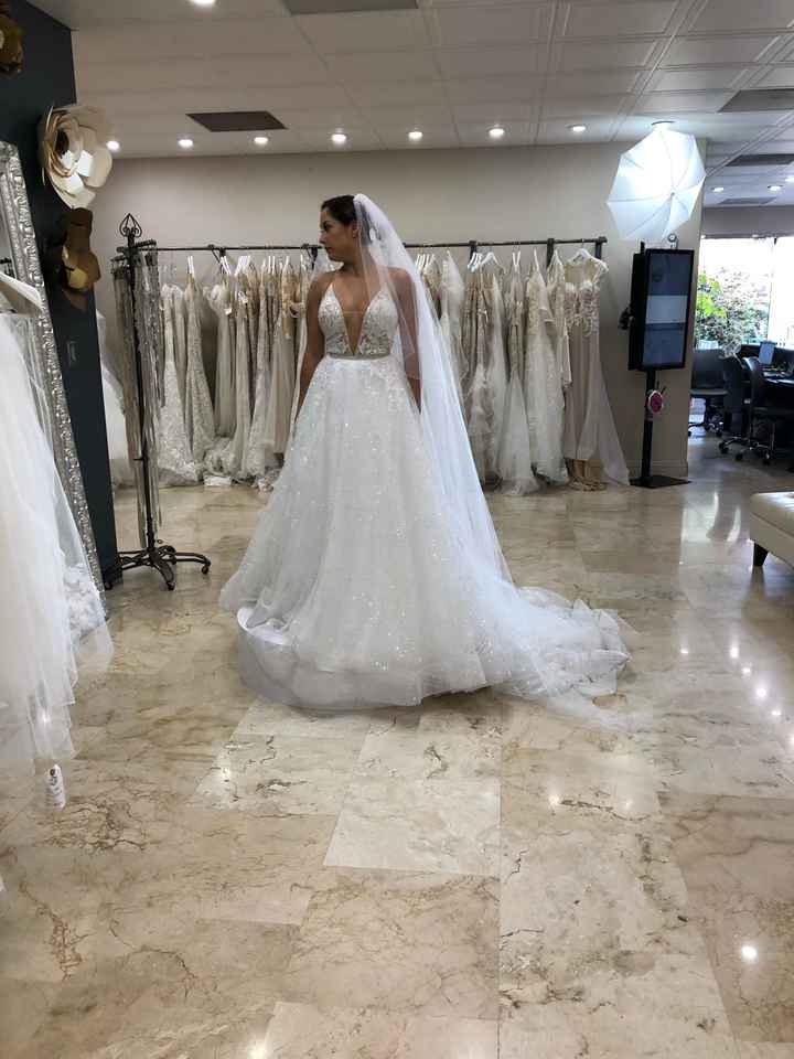 The dress dilemma - 1