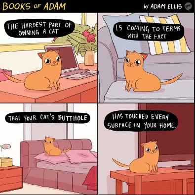 Need a good laugh?