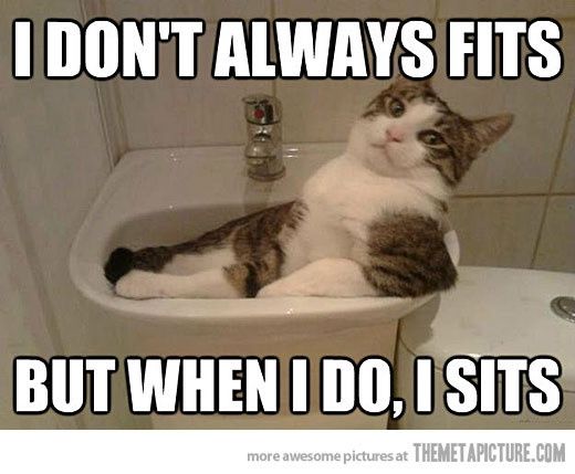 Need a good laugh?