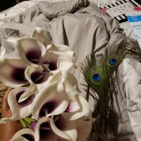 Real vs Artificial Flowers - 1