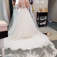 The dress dilemma - 4