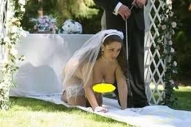 It's funny photo time!
