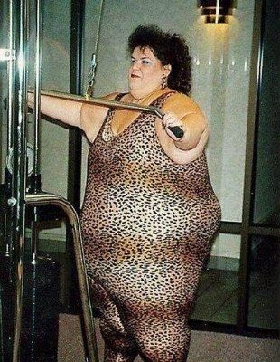 Bikini Body & The Honeymoon ...