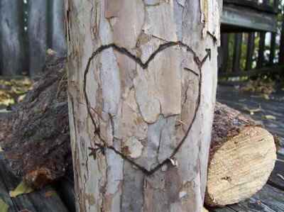 I want to see your...