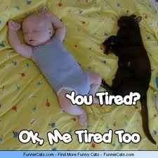 It's funny photo time!