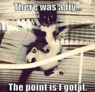 We Haven't Done This In A While