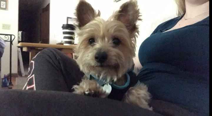 NWR: Show me your fur babies