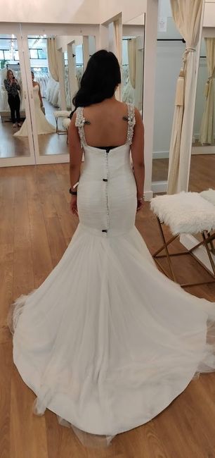 Back of Dress