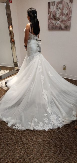 Cathedral veil or bridal cape? 2