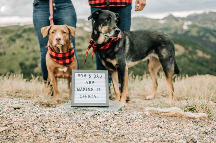 Engagement Photo outfits - 1