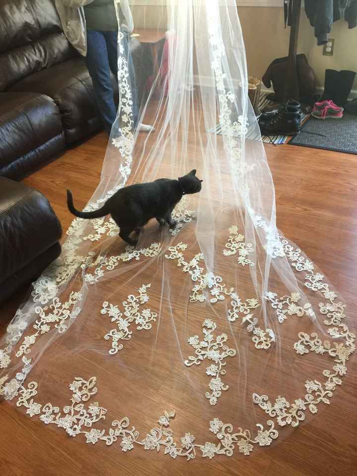 Purchasing a sample gown???