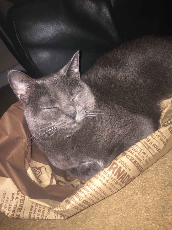 Not WW but my cat is cute sooo