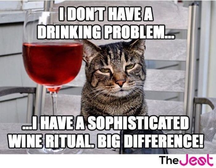 NWR: Memes & Cute Animal Pictures