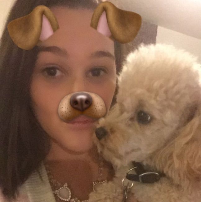 NWR: Memes & Cute Animal Pictures