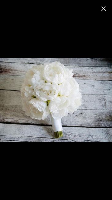 Peony blooms in April? Paging @Centerpiece
