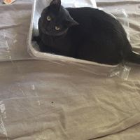 NWR:  Show me your babies!