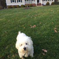 Seems like an awful lot of bad news on here today :(