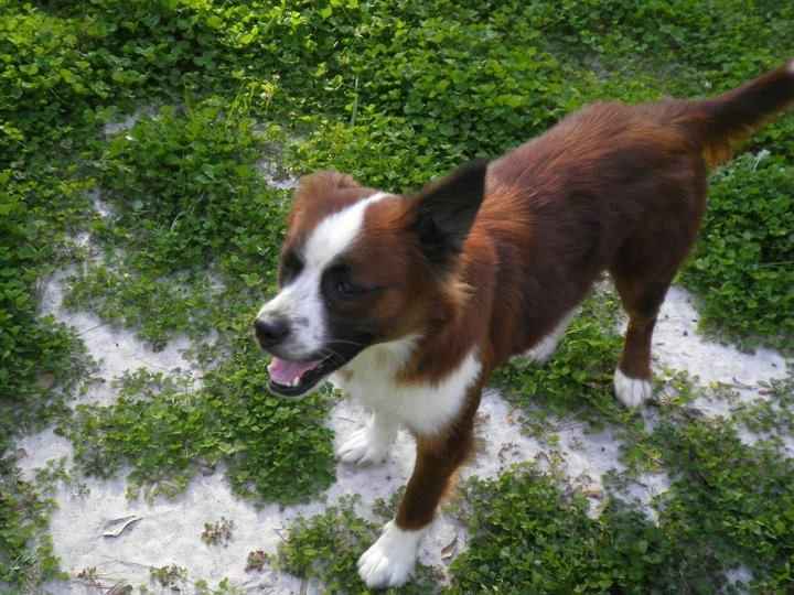 Meet my baby !