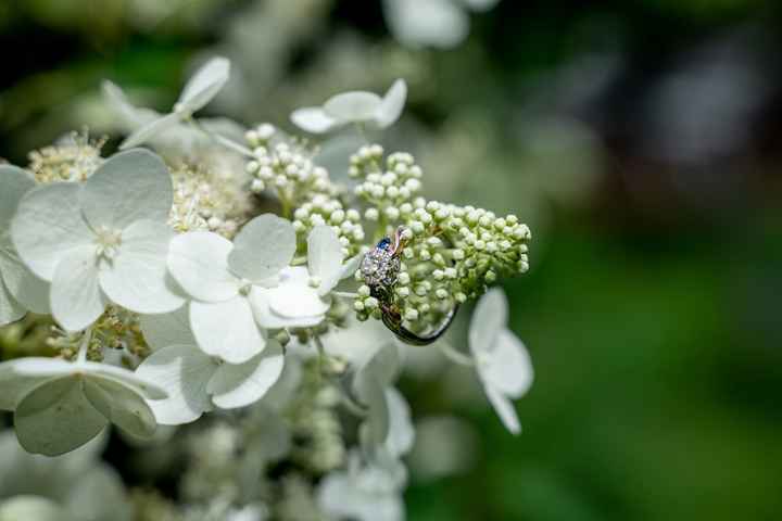 Bam! August 21 Wedding! - 41