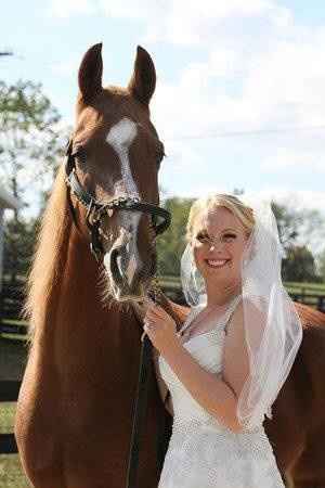 Equestrians - What are you doing for you wedding?