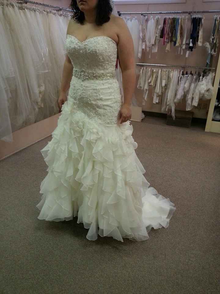 I said YES TO THE DRESS!!!