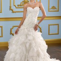 I said YES TO THE DRESS!!!