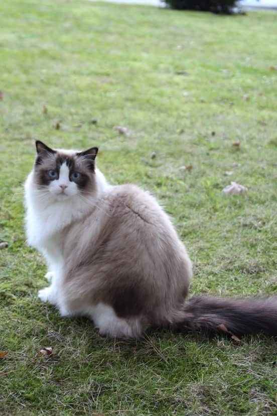 Brag Post - Pet Edition!