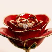 Show me those rings, please! - 1
