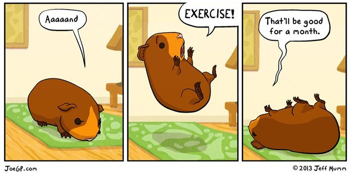 exercising brides....lets laugh (pics)