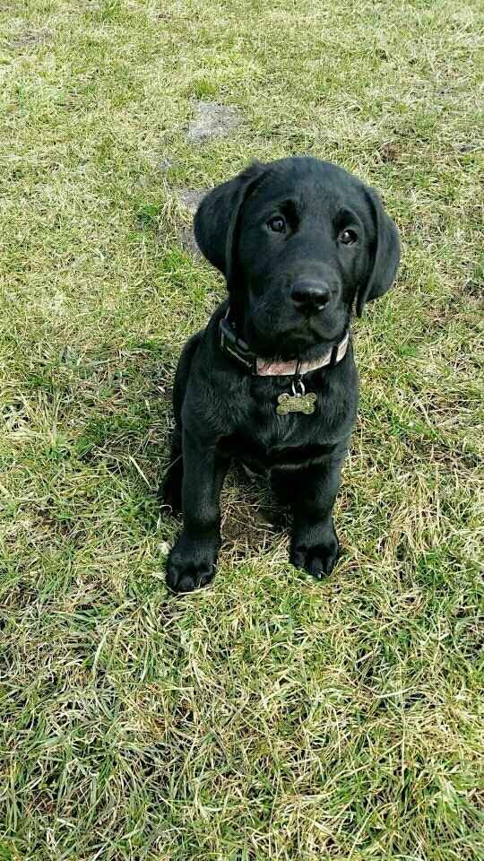 NWR- let me see your fur babies, awake and scared