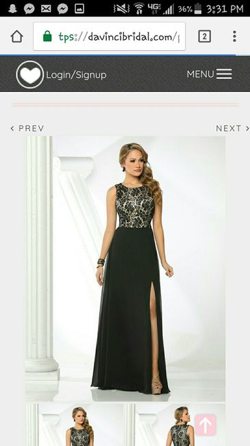 Lace wedding dress. Chiffon bridesmaid dress?