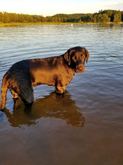 Nwr: puppy fever! (Pics included)