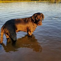 Nwr: puppy fever! (Pics included)