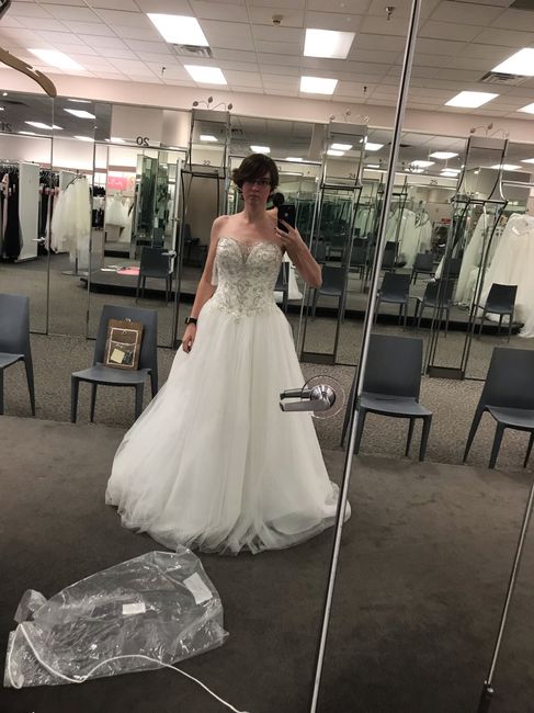 Wedding Dress - One or More? 1