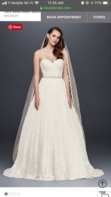 Wedding Dress - One or More? 3