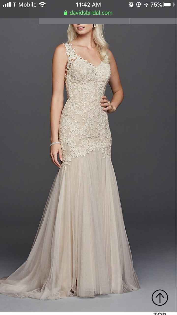 Wedding Dress - One or More? - 3